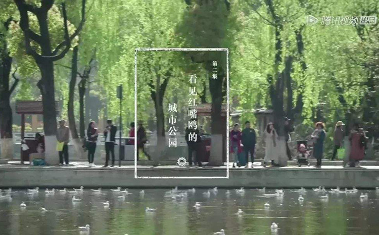 電影紀(jì)實(shí)72小時(shí).jpg 電影紀(jì)實(shí)72小時(shí).jpg